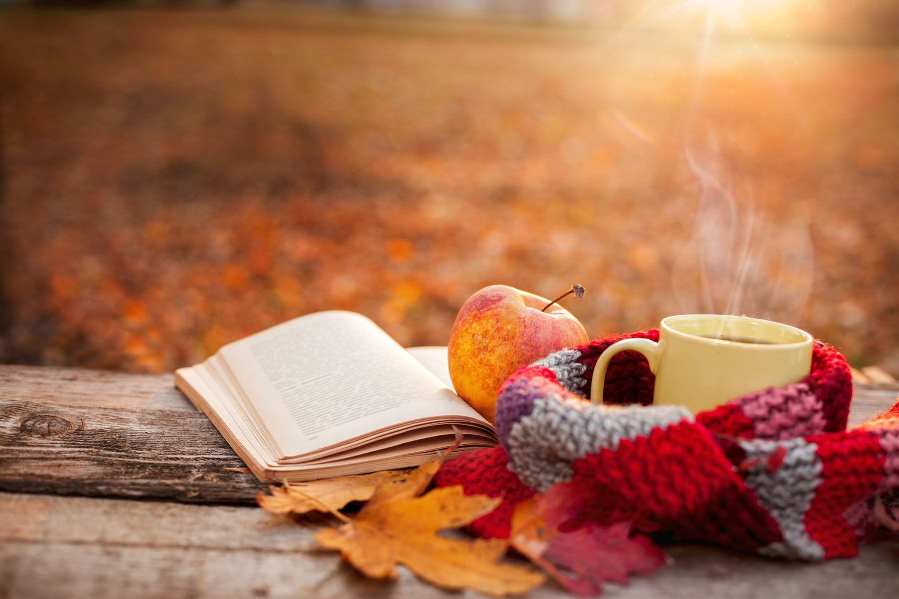 7 ways to get cozy outdoors this fall! | Canadian Wildlife Federation Blog