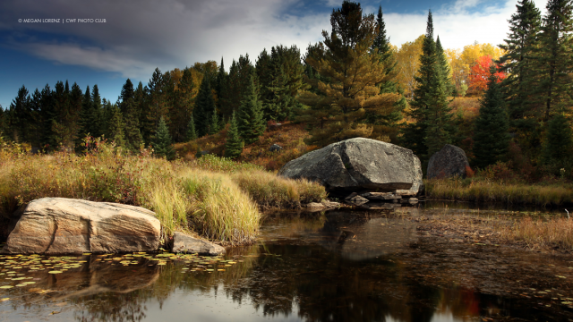 Algonquin Provincial Park