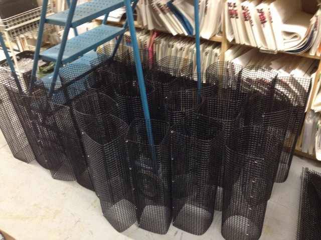 Eel pots in the making! Rolling the PVC coated steel mesh into cylinders was the first step into making our eel traps