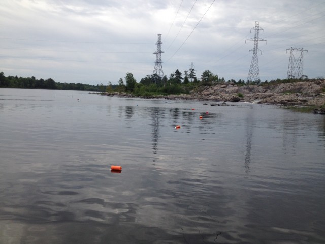 Success! All our eel pots were deployed and left to sit in the water in hopes to catch eels! 