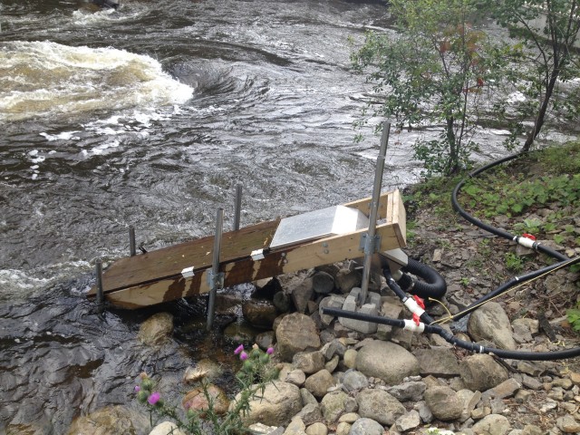 The eel ladder located in the kayak channel near Fleet St. in hopes to attract and catch eels.