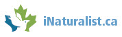 inaturalist