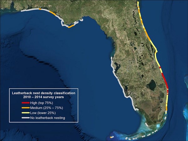 Density of leatherback turtle nests in Florida state (SOURCE)
