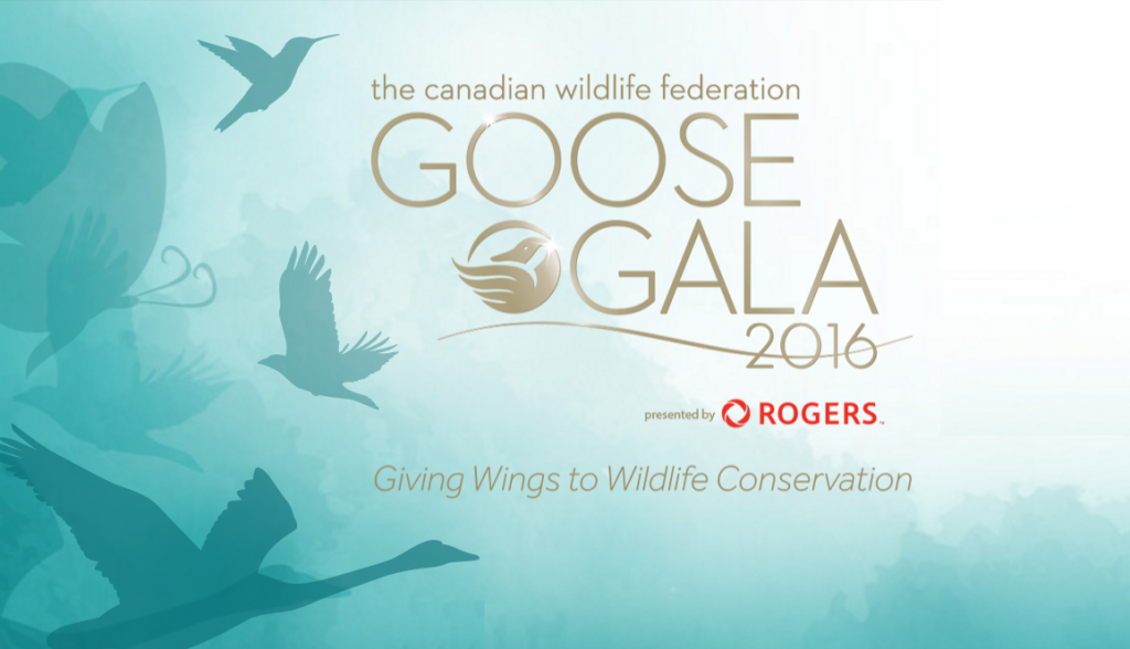 goose gala