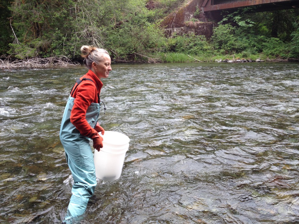 dr. jen mcintyre wading in cedar river