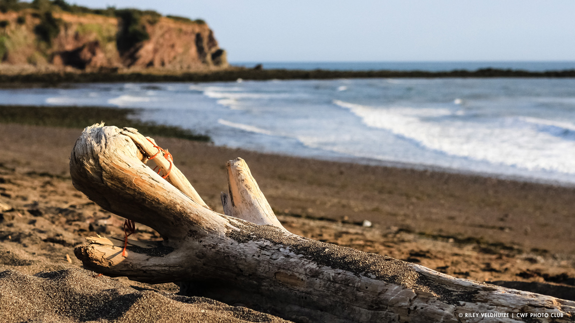 Fundy-National-Park