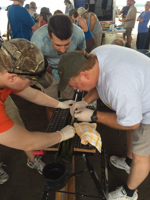 Nicolas Lapointe, CWF conservation officer, and Kirby Punt of Ontario Ministry of Natural Resources and Forestry doing surgery on a young American eel to implant a tag for monitoring its migration in the Ottawa River.