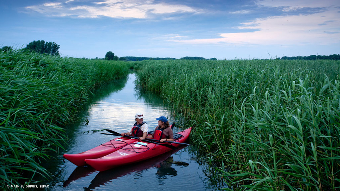 Parc-national-des-Iles-de-Boucherville