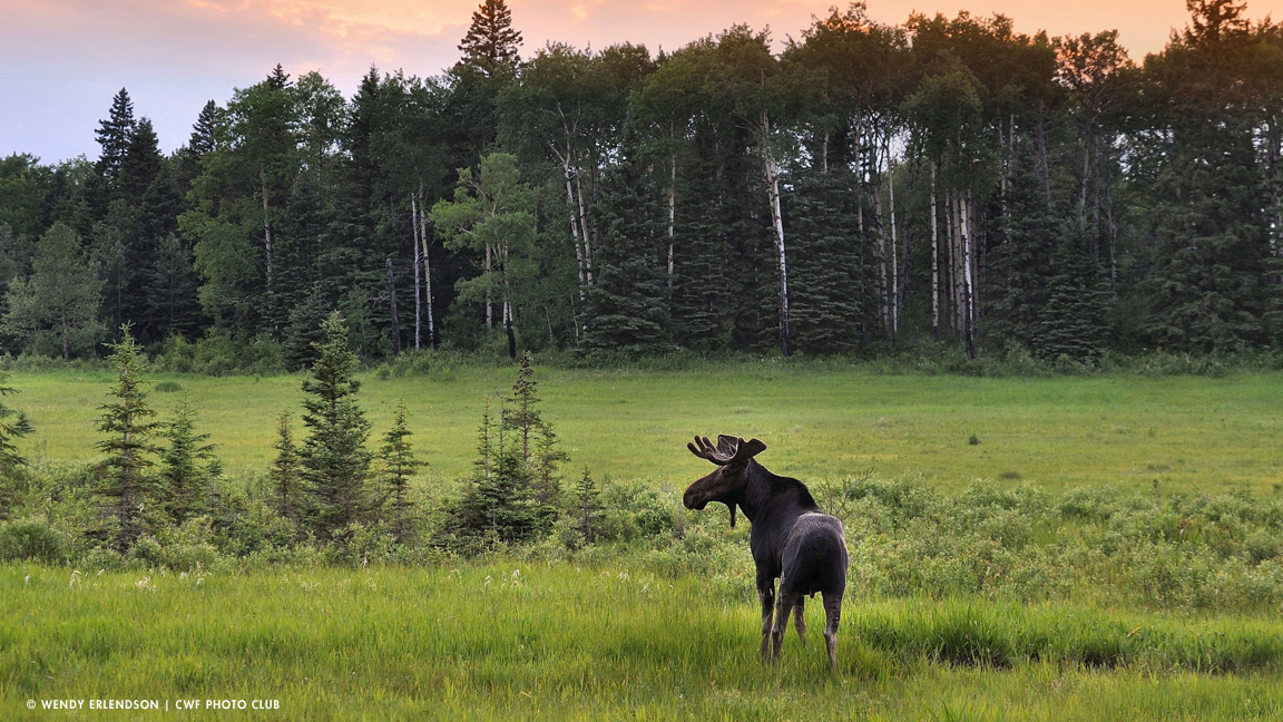 Riding-Mountain-National-Park