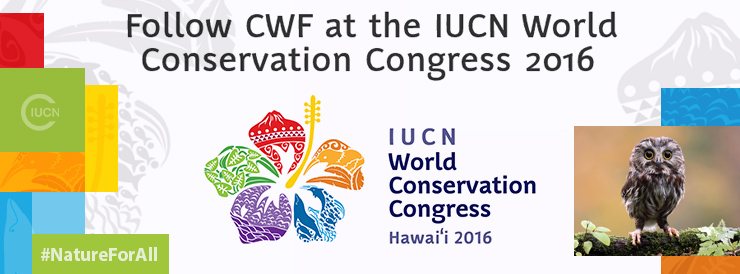 IUCN-World-Conservation-Congress-2016_header