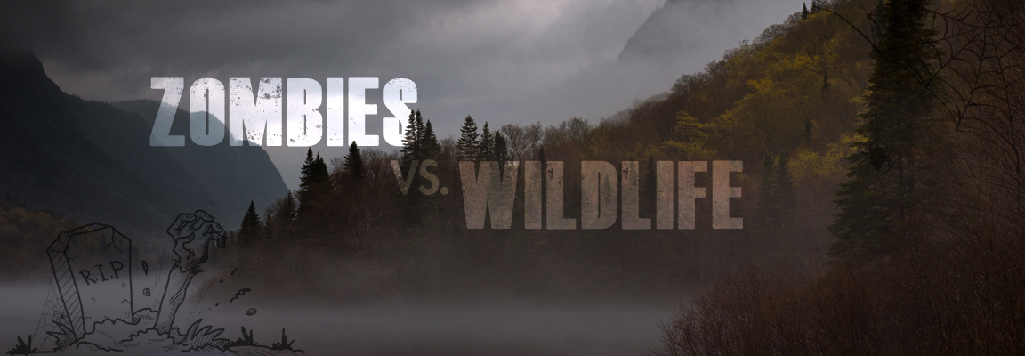zombies-vs-wildlife-banner-v1