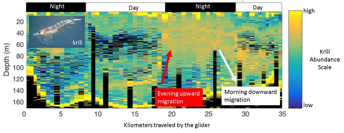 Krill Tracking