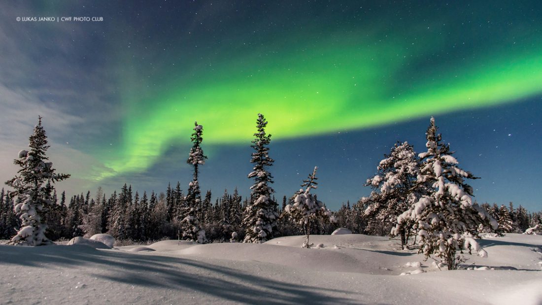 Canadian winters are beautiful – and we have the photos to prove