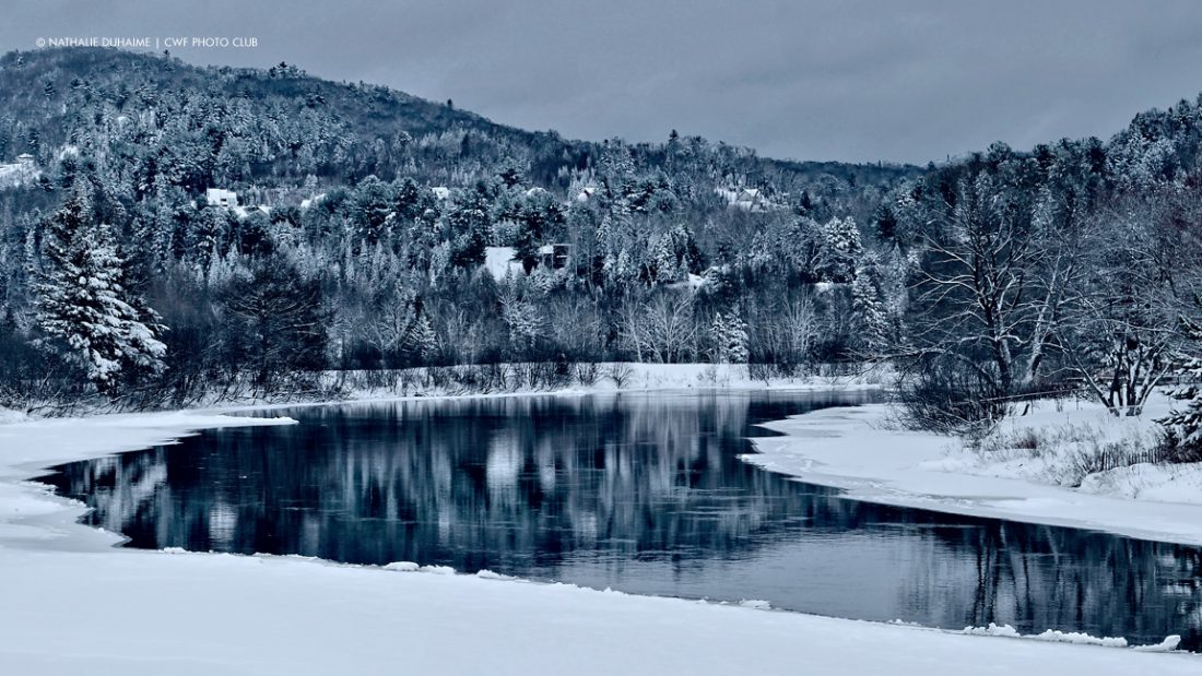 Canadian winters are beautiful – and we have the photos to prove it – Your  Connection to Wildlife