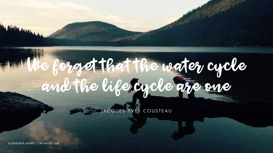 Eight Quotes That Illustrate Why Water Is Life Your Connection To Wildlife