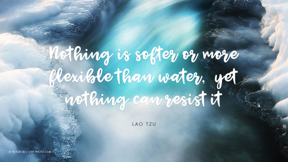 Eight Quotes That Illustrate Why Water Is Life Your Connection To Wildlife