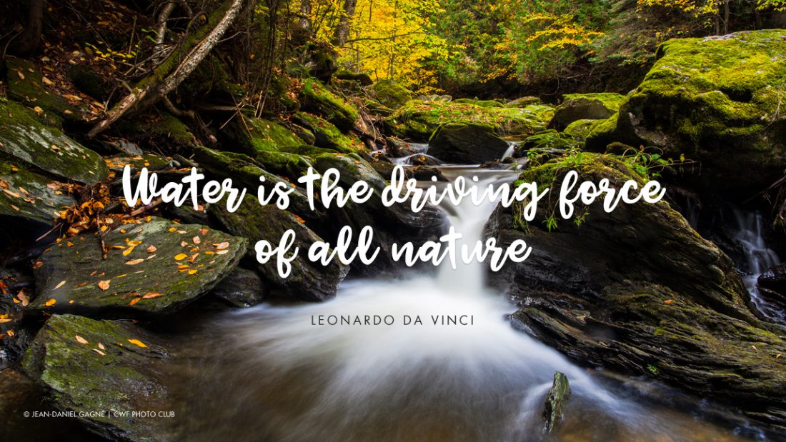 importance of nature quotes