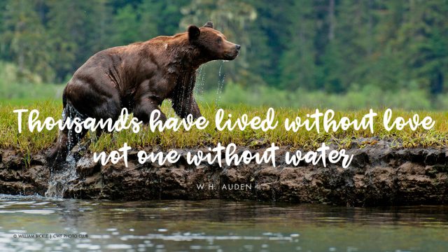 Eight quotes that illustrate why water is life – Your Connection to ...