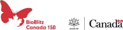 BioBlitz Canada 150