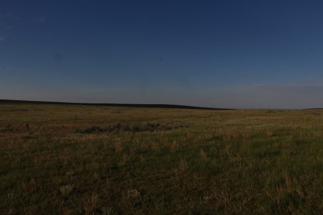 Native Mixed Grass Prairie