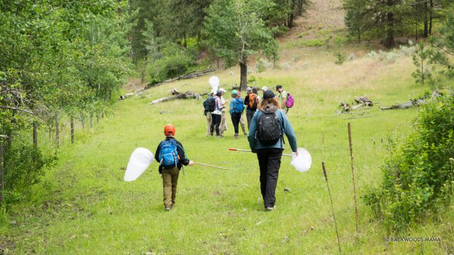 © backwoodsmama.com