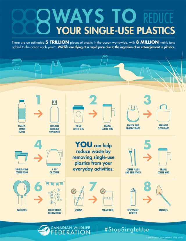 Eight Ways To Reduce Your Plastic Footprint Your Connection To Wildlife 