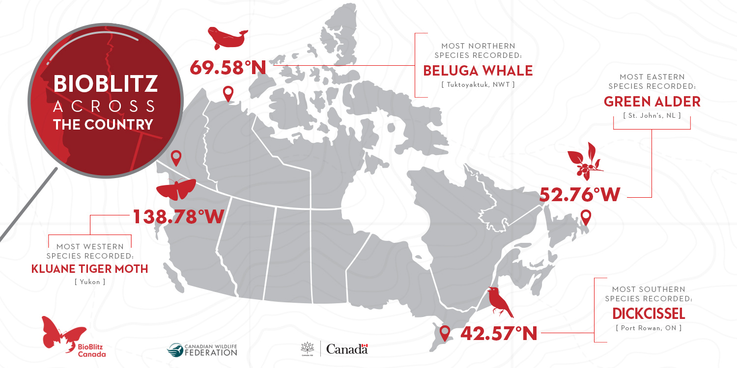 BioBlitz Canada 150