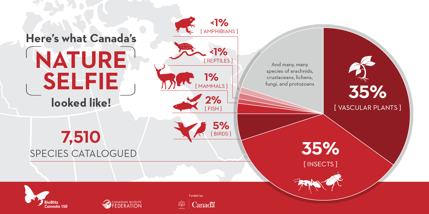 BioBlitz Canada 150