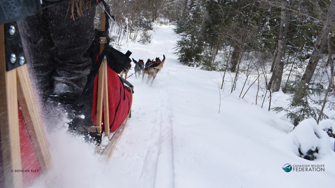 Canadian Conservation Corps