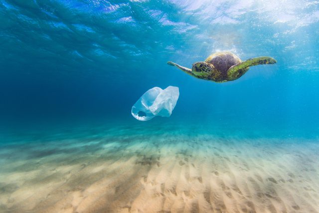 Plastic bag pollution in ocean