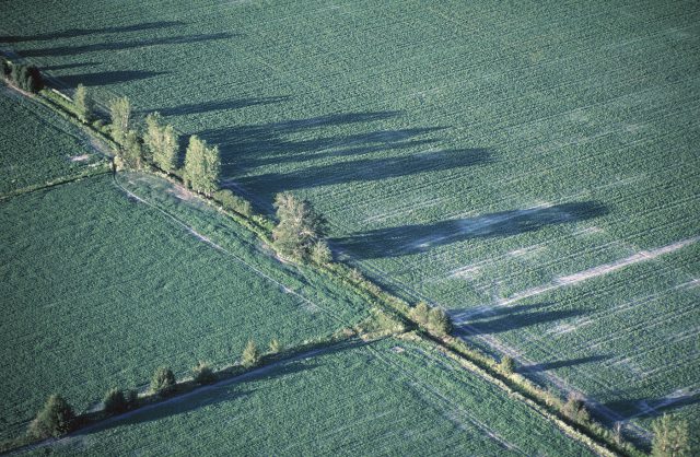 We need to enhance the natural habitats found on the borders of their farmland