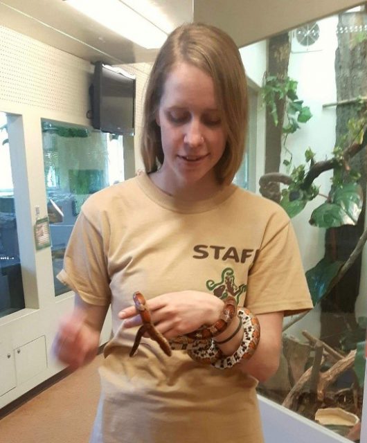 Nicole Webster, CCC Group 1 Participant, holding a Corn Snake during her Field Learning Placement at SCALES Nature Park