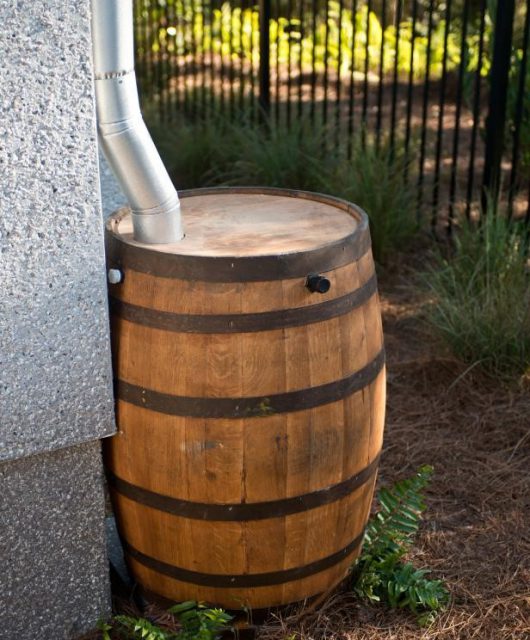 Rain barrel - vintage charm