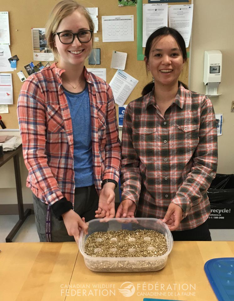 Field researchers after preparing the incubator bins