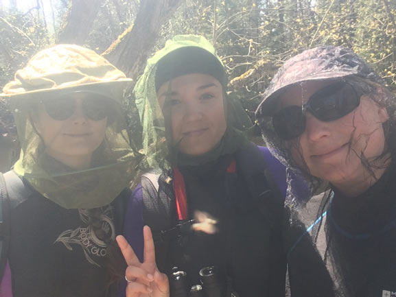 Scales crew out in the field looking for species at risk (photo credits Kimberly McGough)