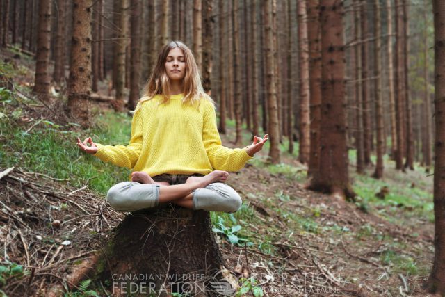 yoga in the forest