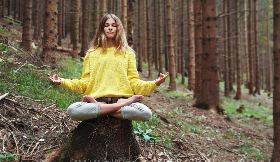 Yoga in the forest
