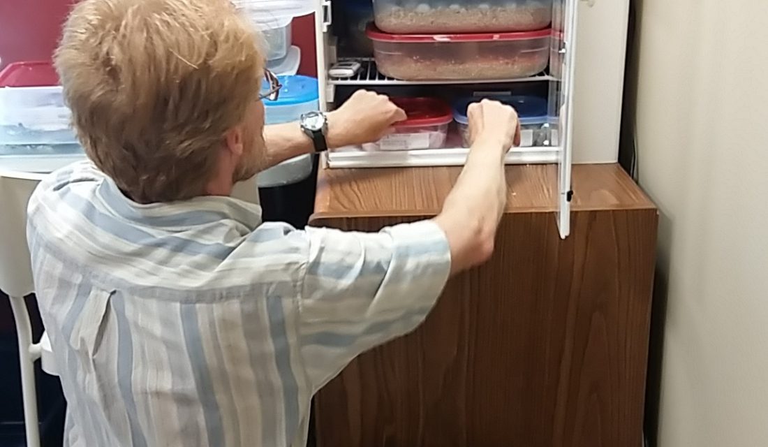 CWF Freshwater Turtle Specialist Dave Seburn shows us the turtle eggs in the incubator.