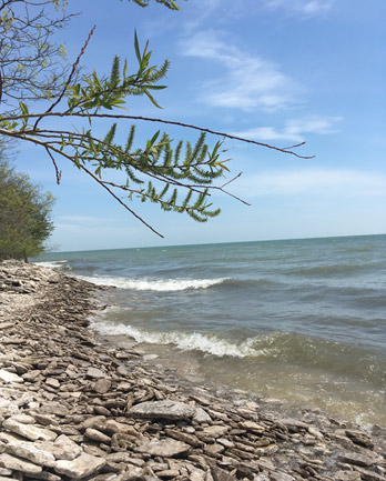 Is that the ocean? Pelee Isand and Lake Erie (Photo credits Kimberly McGough)