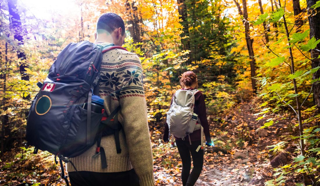 hike fall forest