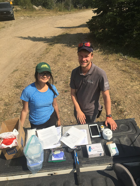 Our team was tasked with installing HOBO water temperature loggers in selected headwaters in Castle Provincial Park that were pre-selected by Albert Environment and Parks & TUC through geographic mapping software and aerial maps.