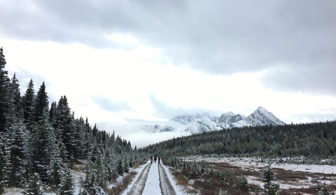 On route to Mount Romulus, our 18-kilometre day.