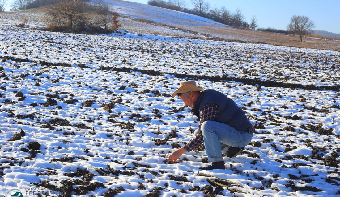 farmer field snow soil