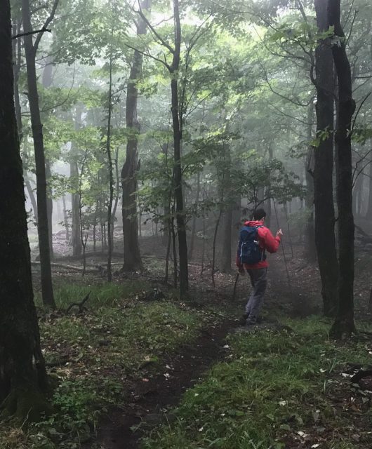 Hiking during a foggy day
