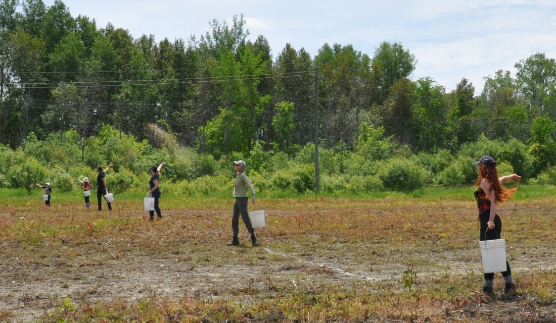 CWF staff and volunteers (Samantha Reynolds, Emily Armstrong, Paul Wityk, Carolyn Callaghan, Kira Balson) seeding a HydroOne pilot project site in Ottawa. | Des membres du personnel de la FCF et des bénévoles (Samantha Reynolds, Emily Armstrong, Paul Wityk, Carolyn Callaghan, Kira Balson) qui ensemencent le site du projet pilote de HydroOne à Ottawa.