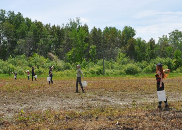 CWF staff and volunteers (Samantha Reynolds, Emily Armstrong, Paul Wityk, Carolyn Callaghan, Kira Balson) seeding a HydroOne pilot project site in Ottawa.