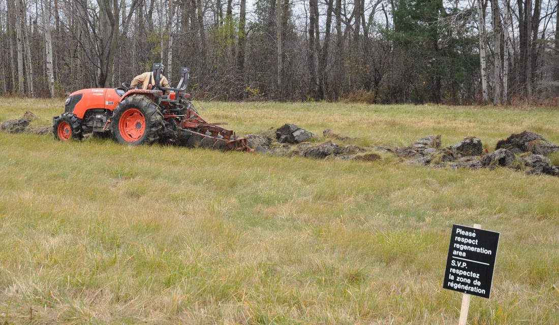 Alexis Latemouille preparing a pilot project site near Green’s Creek, Ottawa, managed by the National Capital Commission.