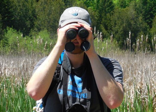 Searching with binoculars
