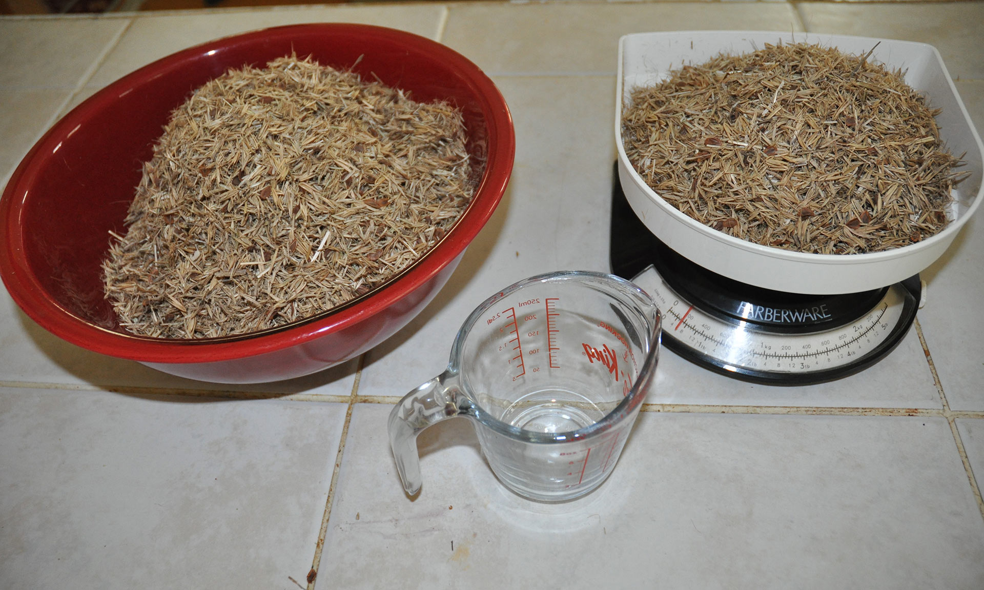 ratiosofseed Your Connection to Wildlife