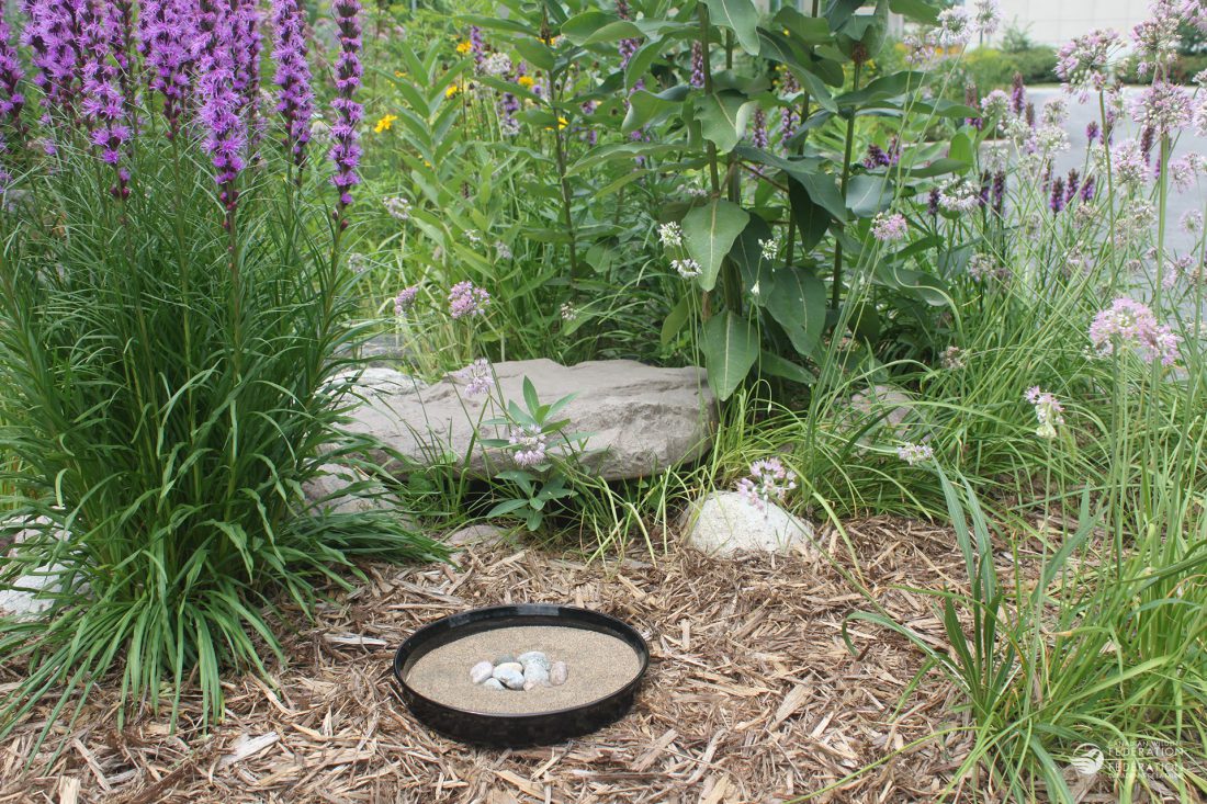 gardens as mudpuddles